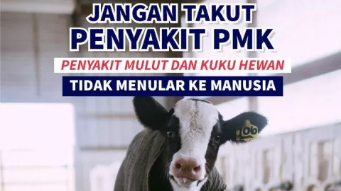 Tim Gabungan Boyolali Pantau Pasar Hewan, 15 Ternak Demam - GenPI.co JATENG