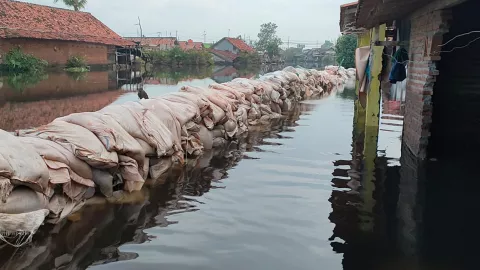 Begini Cara Pemkot Pekalongan Atasi Banjir Rob - GenPI.co JATENG