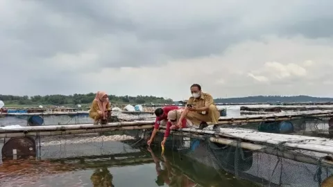 Kabar Baik! Kematian Ikan Massal di Waduk Kedung Ombo Mereda - GenPI.co JATENG