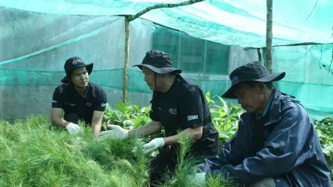 BRI Peduli Grow & Green Tanam 2.500 Bibit Pohon di Samosir untuk Kelestarian Danau Toba - GenPI.co JATENG