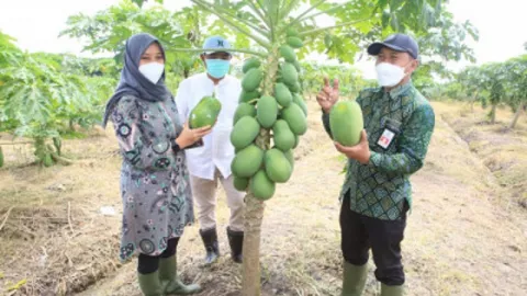 Kelompok Suka Tani Berdaya Kembangkan Produk Pertanian Lokal - GenPI.co JATIM