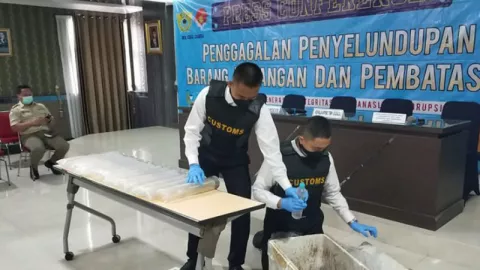 Kargo Isi Benih Lobster Ketahuan Petugas Bea dan Cukai Juanda - GenPI.co JATIM