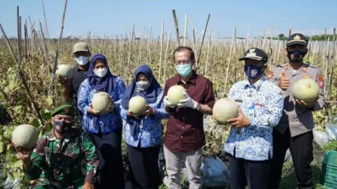 Kelompok Tani di Magetan Ubah Lahan Tebu Jadi Melon - GenPI.co JATIM