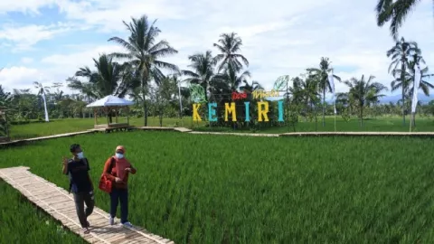 Desa Wisata Kemiri Menyuguhkan Hamparan Sawah yang Instagramable - GenPI.co JATIM