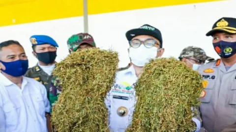2 Raksasa Rokok Indonesia Borong Ribuan Ton Tembaku Madura - GenPI.co JATIM