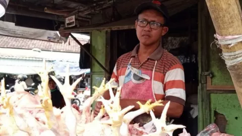 Harga Ayam di Tulungagung Naik, Rp 30 ribu Jadi Rp 40 ribu - GenPI.co JATIM