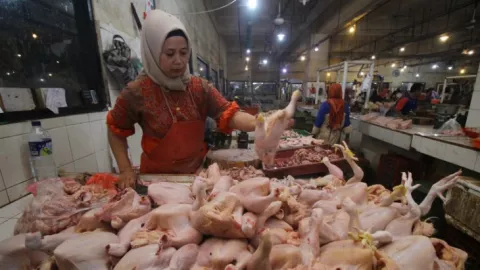 Cek Harga Daging Ayam di Malang Terbaru, Sudah Turun Kok - GenPI.co JATIM