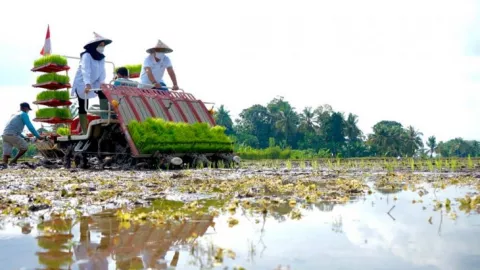 Bangga, Banyuwangi Tambah Lahan Agro Solution Sebegini Jumlahnya - GenPI.co JATIM