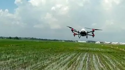 Keren! di Probolinggo Mengusir Hama Pertanian dengan Drone - GenPI.co JATIM