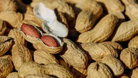 Mitos atau Fakta Makan Kacang Buat Jerawatan - GenPI.co JATIM