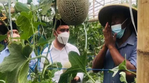 Petani Melon Curhat ke Pemkab Mojokerto, Isinya ini - GenPI.co JATIM