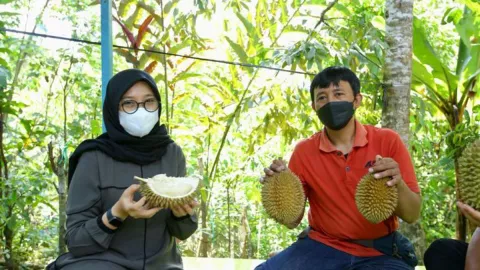 Si Manis Durian Boneng, Laris Hingga Mancanegara - GenPI.co JATIM
