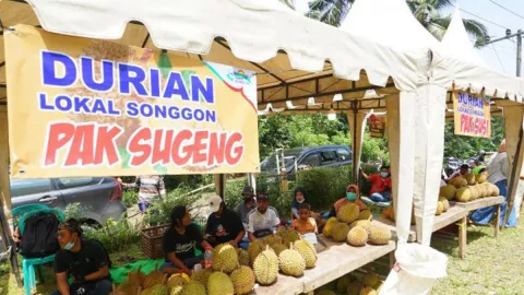 Sambut Musim Panen, Warga Songgon Gelar Festival Durian - GenPI.co JATIM