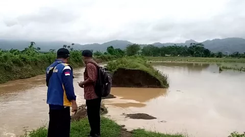 Petani di Tulungagung Pusing Tujuh Keliling, Gagal Panen - GenPI.co JATIM