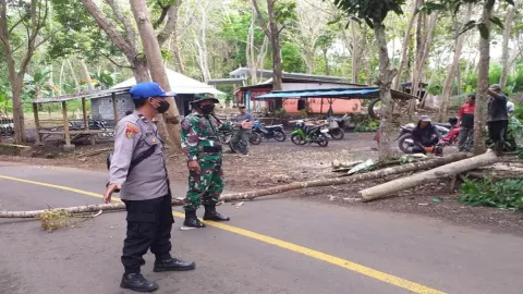 Antisipasi Bencana, Polair Polres Malang Potong Pohon - GenPI.co JATIM