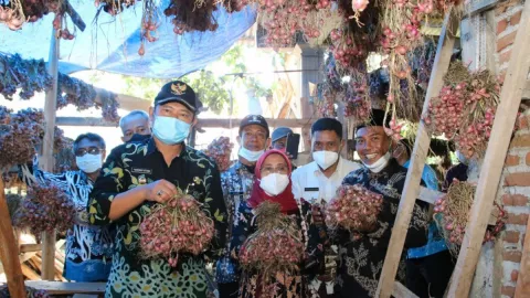 Petani Lamongan Tanam Bawang Merah di Lahan Tidur, Lihat Hasilnya - GenPI.co JATIM