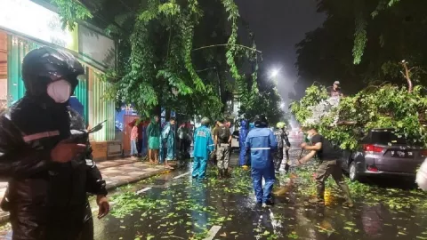 Surabaya Dilanda Angin Kencang, Satu Mobil Tertimpa Pohon Tumbang - GenPI.co JATIM