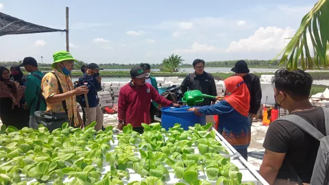Petani Lamongan Manfaatkan Biourin, Mampu Jaga Kesuburan Tanah - GenPI.co JATIM