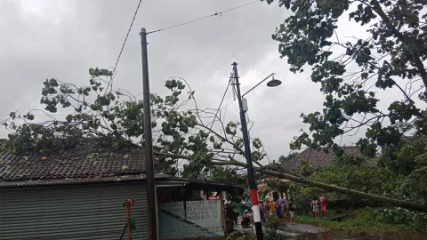 Rumah Warga di Malang Rusak Tertimpa Pohon, Akibat Hujan - GenPI.co JATIM