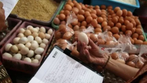 Harga Telur Ayam di Kota Malang Tembus Rp 33.000, Pedagang Pasrah - GenPI.co JATIM
