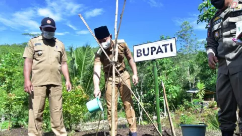 Pemkab Trenggalek, Jempolan Geliatkan Penghijauan, Lihat Saja - GenPI.co JATIM