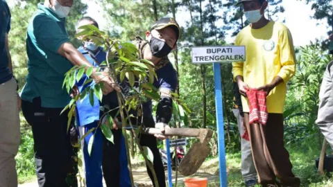 Pemkab Trenggalek Getol Tanam Pohon, Jaga Lingkungan, Lihat ini - GenPI.co JATIM