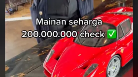 Crazy Rich Surabaya Perlihatkan Miniatur Ferrari Harga Rp200 Juta - GenPI.co JATIM