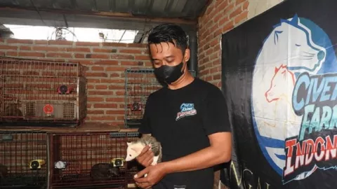 Komunitas Civet Farm Ngalam Mbois Tempat Kumpul Pencinta Musang - GenPI.co JATIM