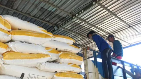 Petani Jatim Jangan Khawatir Stok Pupuk, PTPN X Punya Solusinya - GenPI.co JATIM