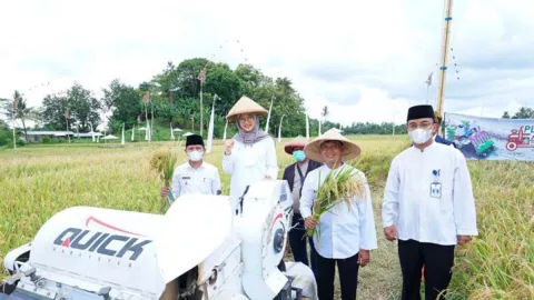 Banyuwangi Luncurkan Inovasi Pertanian, Namanya Playu Anter - GenPI.co JATIM