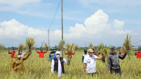 Gubernur Khofifah Beri Bantuan Alsintan, Petani Ponorogo Senang - GenPI.co JATIM