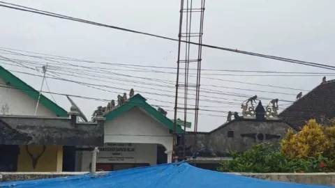 Penyebab Kawanan Monyet Serbu Pemukiman di Pakis Malang - GenPI.co JATIM