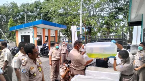 BKIPM Surabaya Ekspor Ikan Koi ke Malaysia Bernilai Fantastis - GenPI.co JATIM