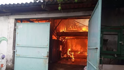 Berniat Musnahkan Sarang Tawon, Toko di Surabaya Justru Terbakar - GenPI.co JATIM