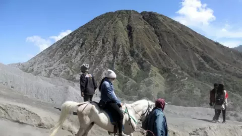 Penjelasan TNBTS Terkait Wisatawan Gunung Bromo Dipalak Ojek Kuda - GenPI.co JATIM
