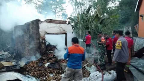 Warga Desa Kalimas, Situbondo Dibuat Heboh Kebakaran - GenPI.co JATIM
