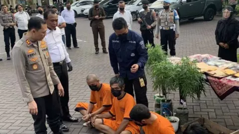 Petani di Malang Nekat Tanam Ganja, Terancam 20 Tahun Penjara - GenPI.co JATIM