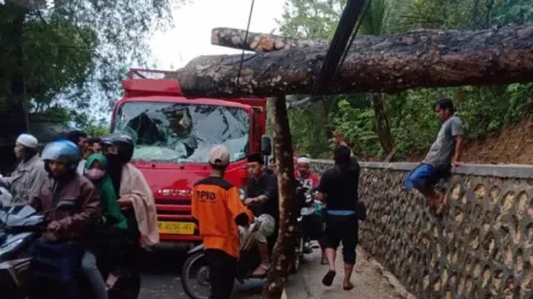 Pohon Tumbang di Pamekasan Ganggu Aliran Listrik dan menimpa Truk - GenPI.co JATIM