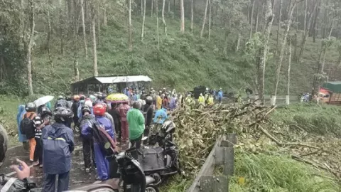 Pohon Tumbang di Jalur Malang-Kediri Timbulkan Korban, Ya Ampun - GenPI.co JATIM