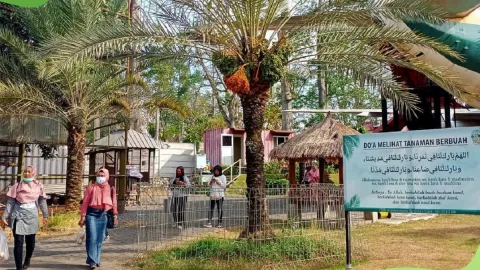 5 Tempat wisata di Pasuruan yang Wajib Dikunjungi, Ada Kebun Kurma - GenPI.co JATIM