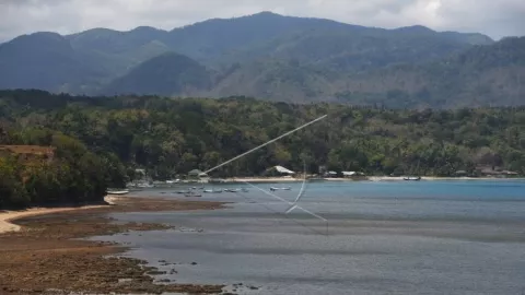 Dugong Seberat 200 Kilogram Terdampar di Pantai Pulau Bawean - GenPI.co JATIM