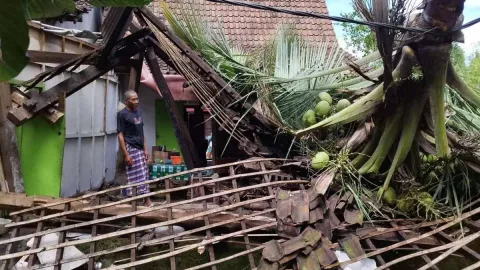 Nelangsa, Rumah Kakek di Banyuwangi Hancur Tertimpa Pohon Kelapa Akibat Cuaca Ekstrem - GenPI.co JATIM