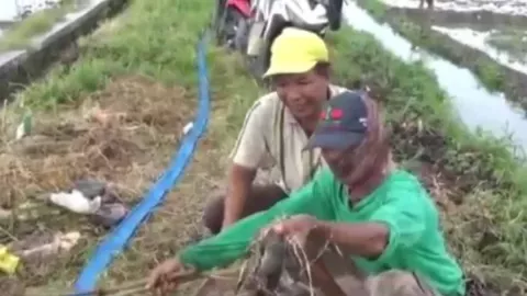 Unik! Petani Jombang Gelar Gropyokan, Buru Tikus Jelang Musim Tanam Padi - GenPI.co JATIM