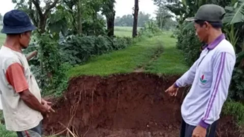 20 Hektare Sawah di Kediri Terendam Banjir Akibat Tanggul Jebol, Petani Pasrah - GenPI.co JATIM
