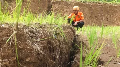 Retakan Tanah di Jember Picu Tanah Longsor, BPBD Rekomendasikan Warga Tanam Tumbuhan - GenPI.co JATIM
