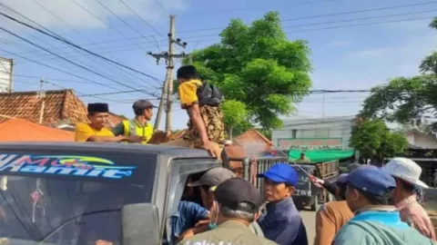 DKPP Pamekasan: 24 Ekor Sapi Mati Akibat Wabah PMK - GenPI.co JATIM