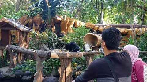 7 Ribu Orang Kunjungi Kebun Binatang Surabaya Selama Libur Nyepi - GenPI.co JATIM