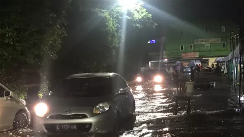 Hujan Deras, Sejumlah Pohon di Surabaya Tumbang dan Banjir - GenPI.co JATIM