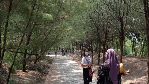 3 Alasan Hutan Mangrove Surabaya Layak Anda Kunjungi - GenPI.co JATIM
