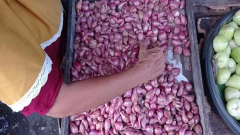 Harga Bahan Dapur Terbaru di Pasar Wonokromo, Mak-Mak Wajib Tahu - GenPI.co JATIM